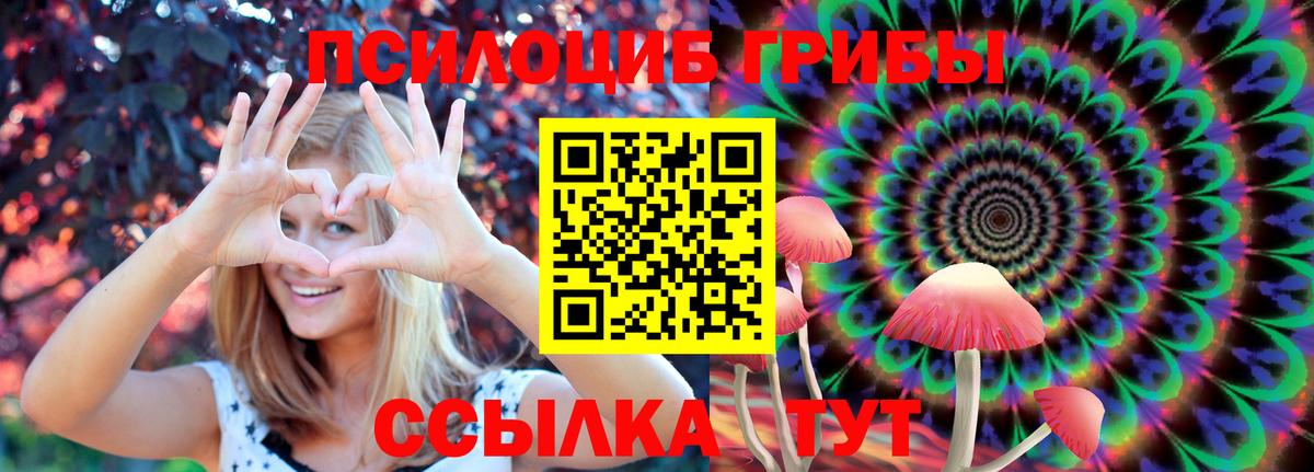Галлюциногенные грибы мицелий Краснодар